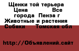 Щенки той терьера › Цена ­ 10 000 - Все города, Пенза г. Животные и растения » Собаки   . Томская обл.